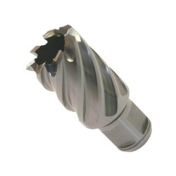 SVEDER KRONSKI HSS Z weldon vpetjem, PVC embalaža.