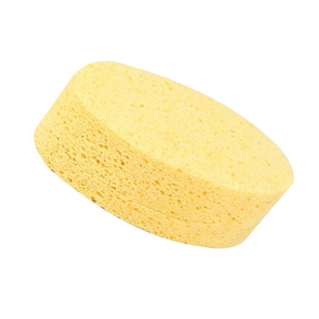 GOBA ZA PEČARJE Celulozna goba.